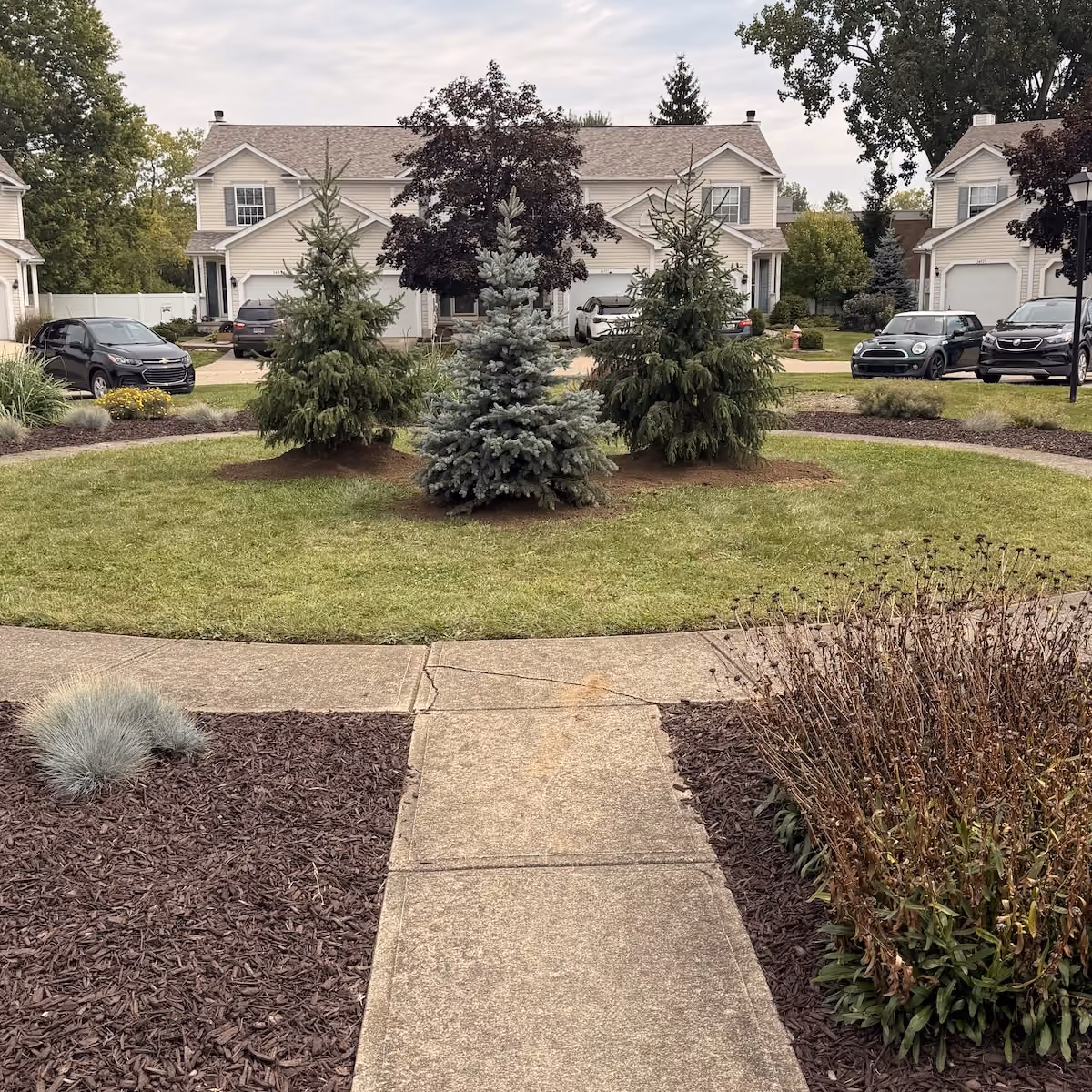 In Season Landscaping landscape bed improvements
