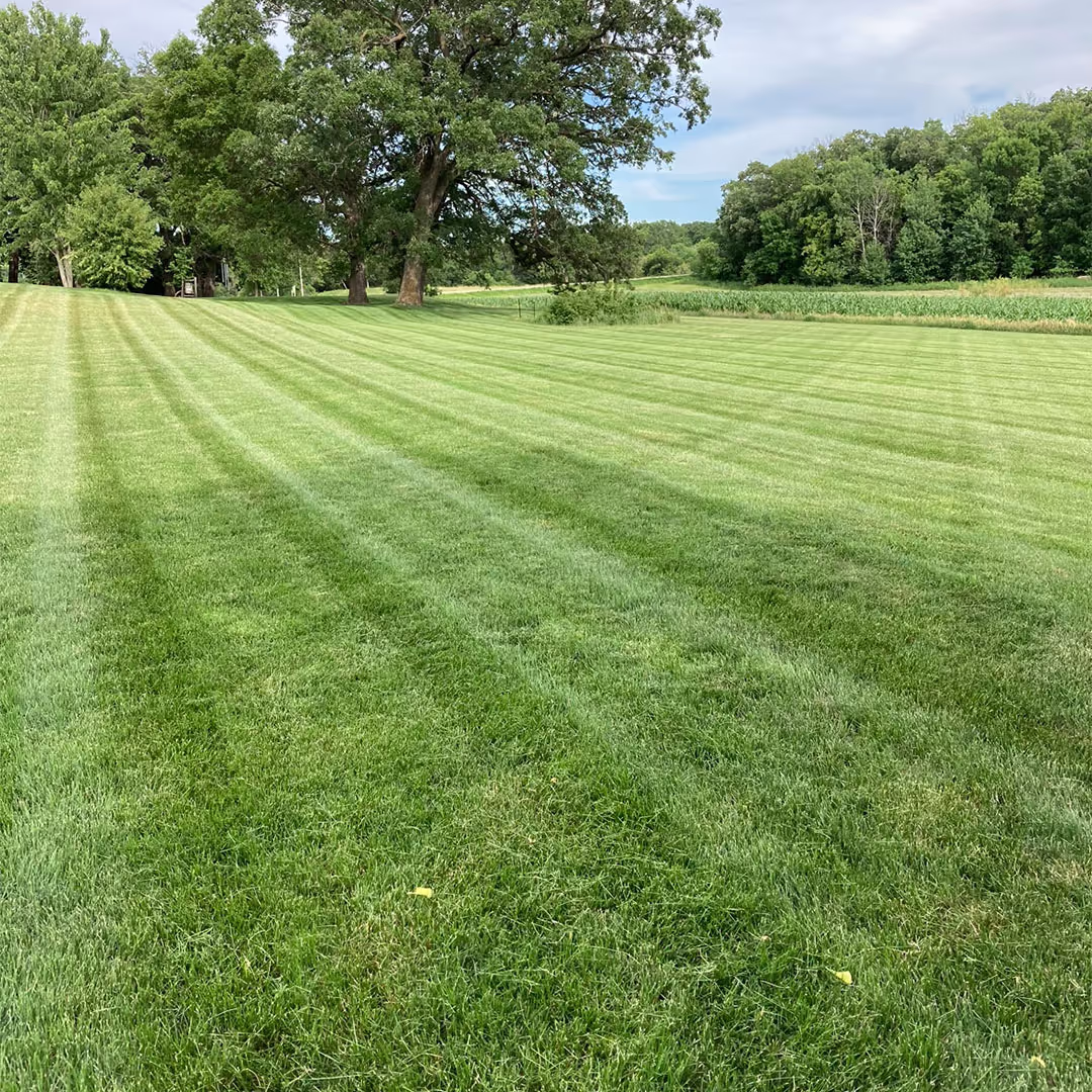 Weekly lawn maintenance by Musolf Property Maintenance for healthy, well maintained lawns in Detroit Lakes Minnesota