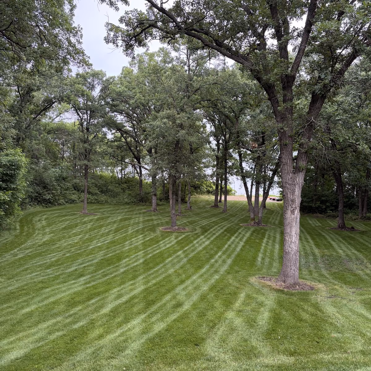 Lawn mowing and edging near me by Musolf Property Maintenance