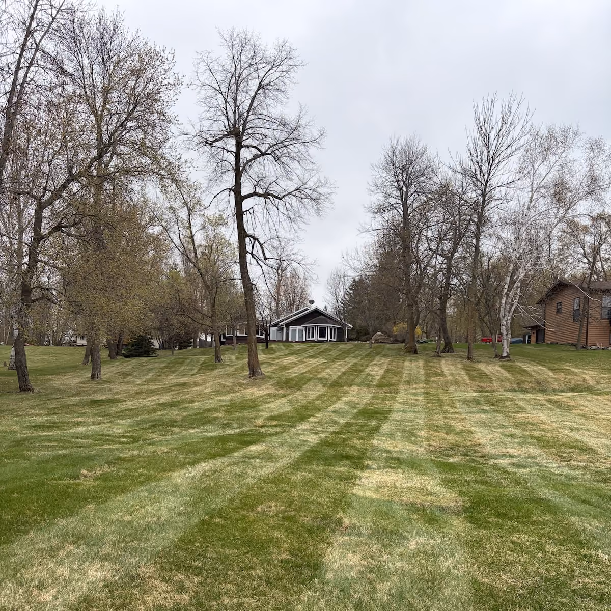 Clean lawn stripes after professional weekly mowing in Detroit Lakes Minnesota
