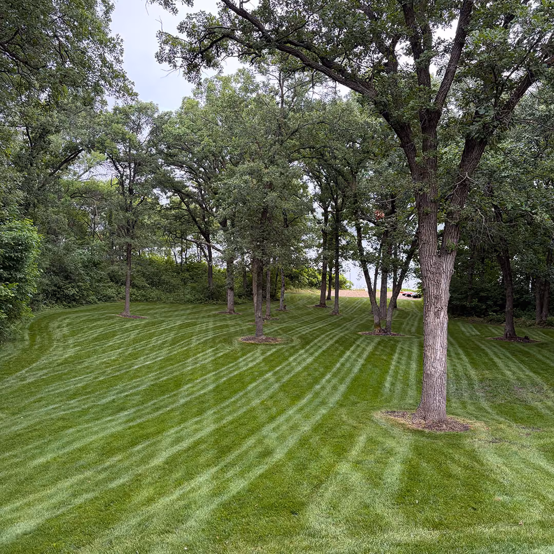 Professional property maintenance near me by Musolf Property Maintenance