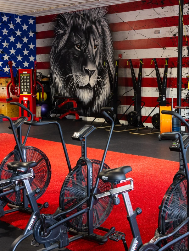 A gym interior featuring stationary bikes on a red floor, a wall mural of a lion over an American flag, and various weightlifting equipment racks.