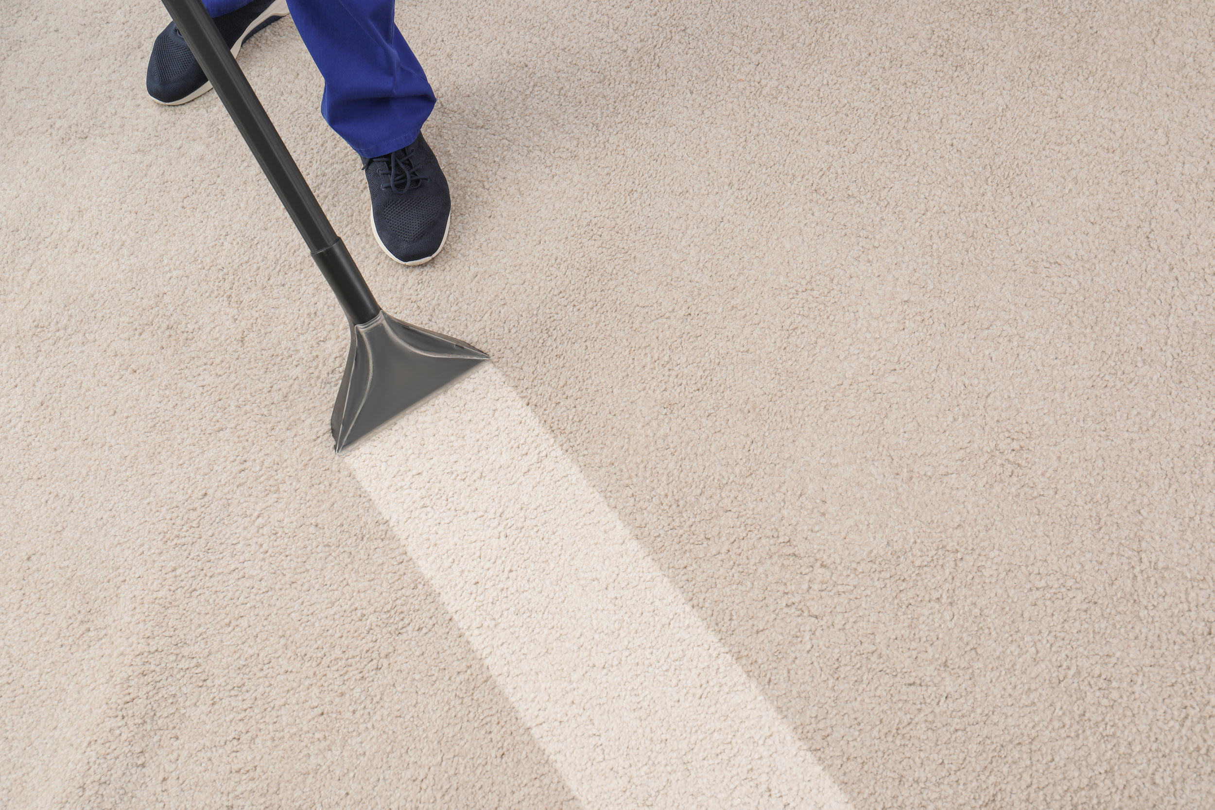 Technician deep cleaning a carpet with professional equipment