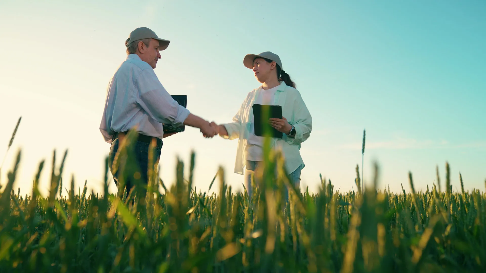 Agricultural operators shaking hands in a field