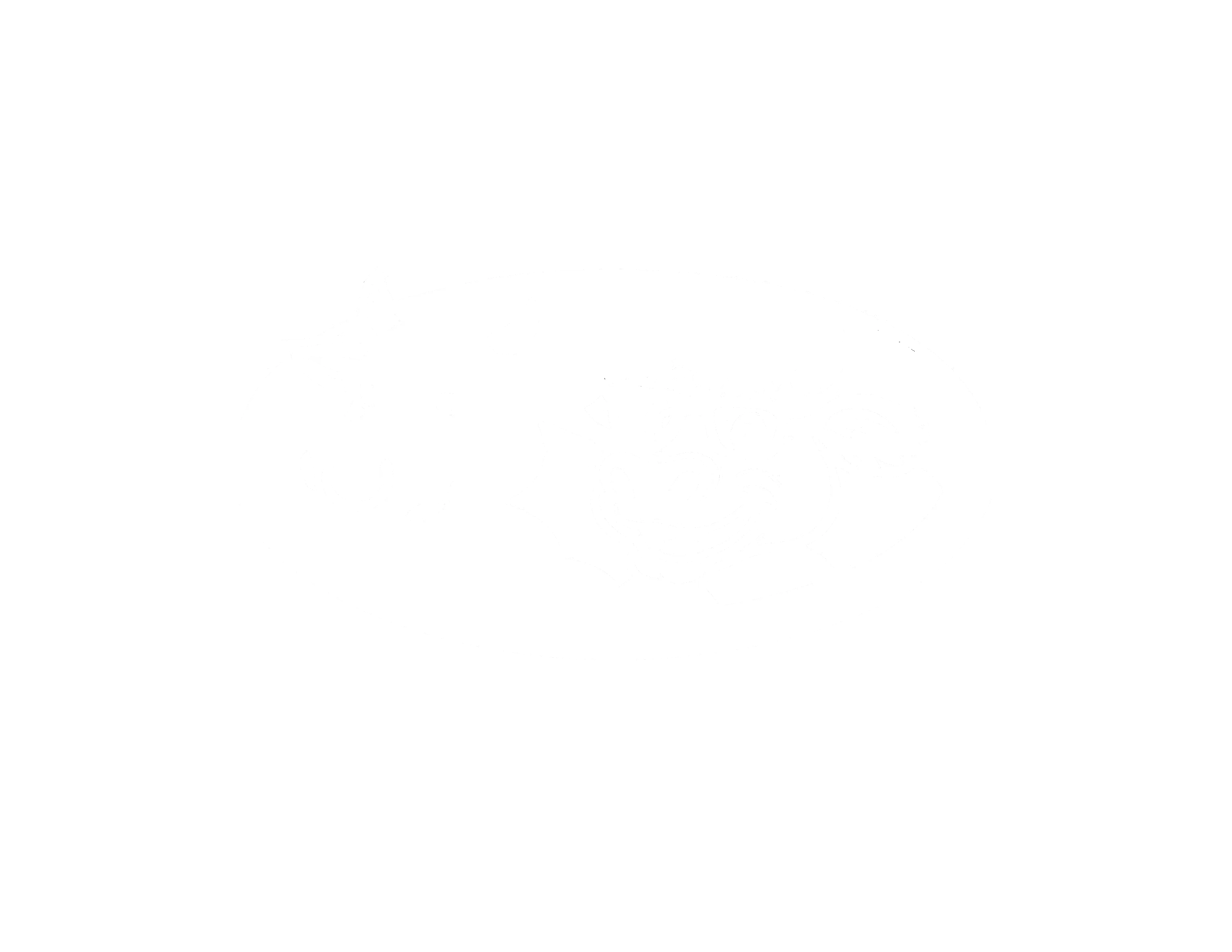 Bulls and District Historical Society