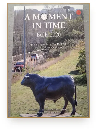 Cover of A Moment in Time, Bulls 2020