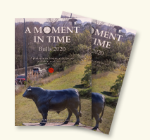 Cover of A Moment in Time, Bulls 2020