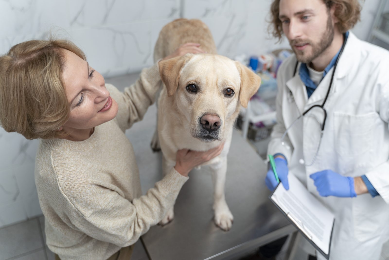 Veterinarian examining a Labrador at Trailside Pet Clinic