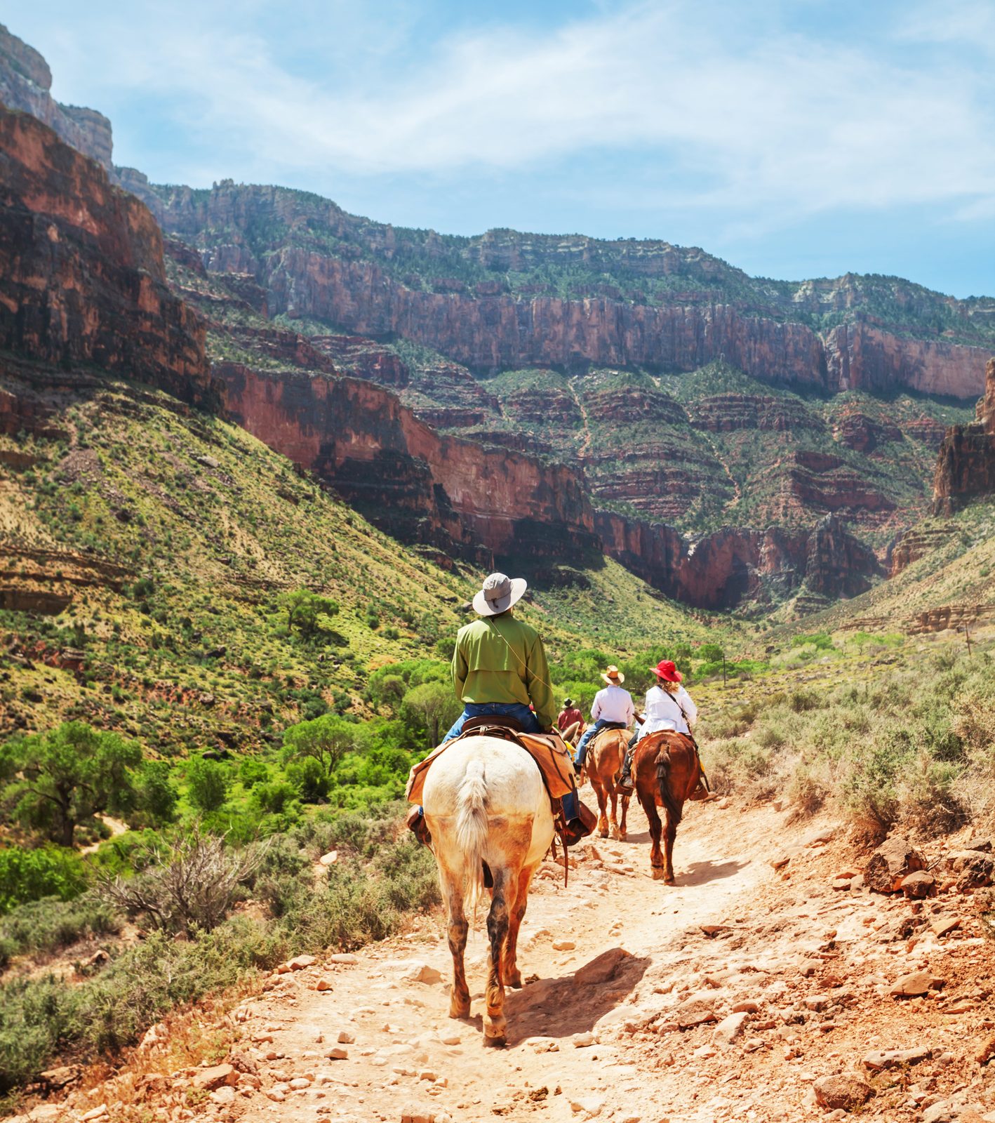 Horseback riders on a canyon trail