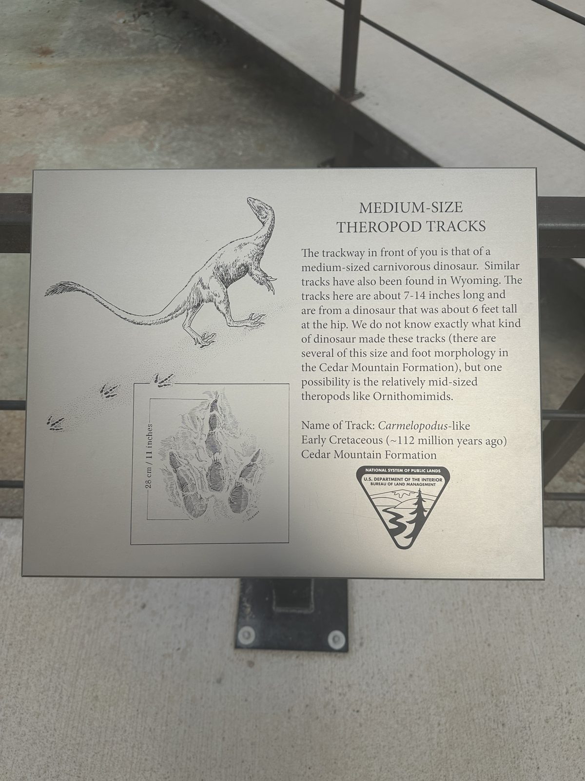 Theropod tracks interpretive sign