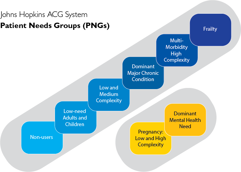 Patient segmentation model called Patient Needs Groups, used in Johns Hopkins ACG system.