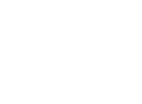 YTH Wellness logo