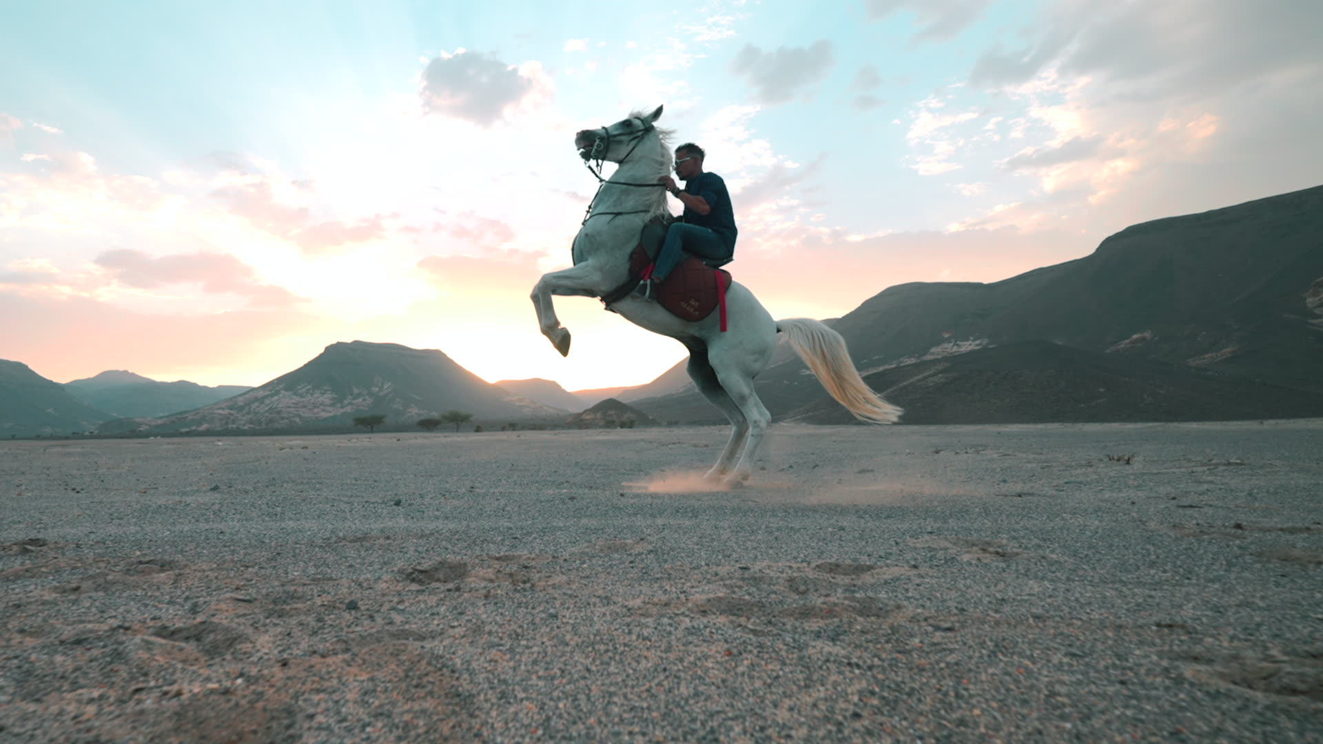 Discover Saudi Arabia