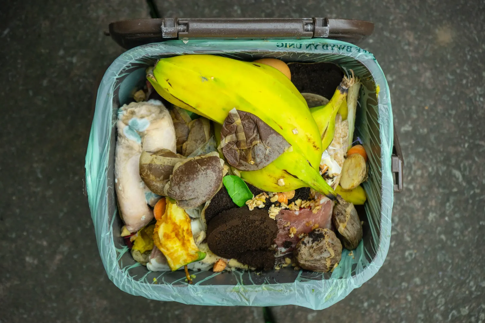 Le gaspillage alimentaire : problèmes et enjeux