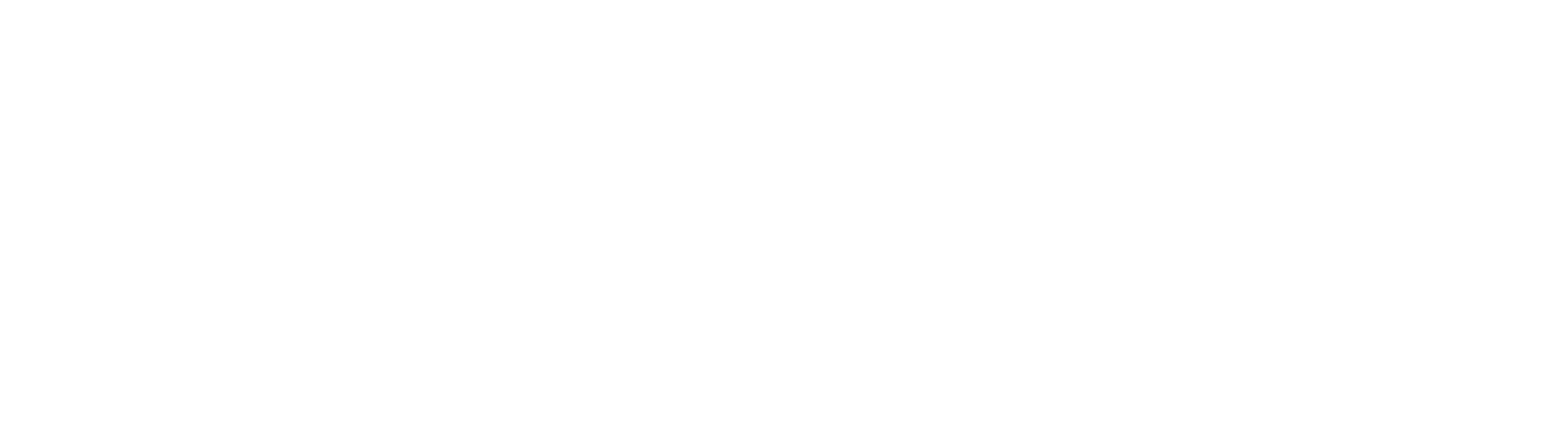 Bruvo company logo