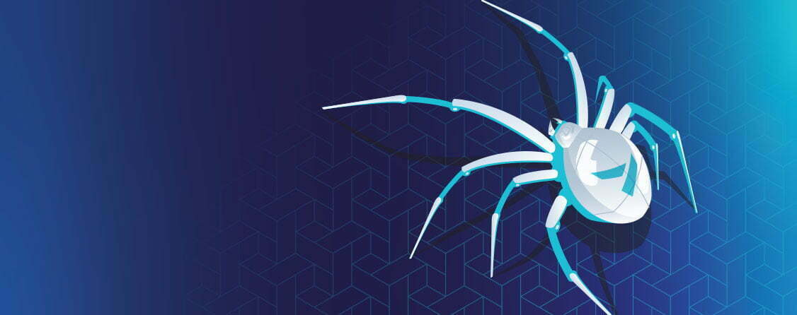 API Spyder