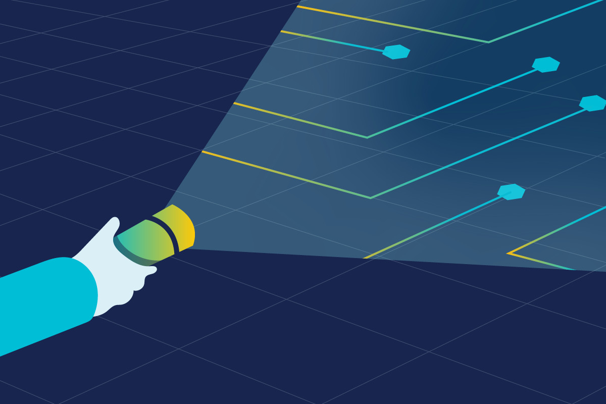 API discovery tool, API security