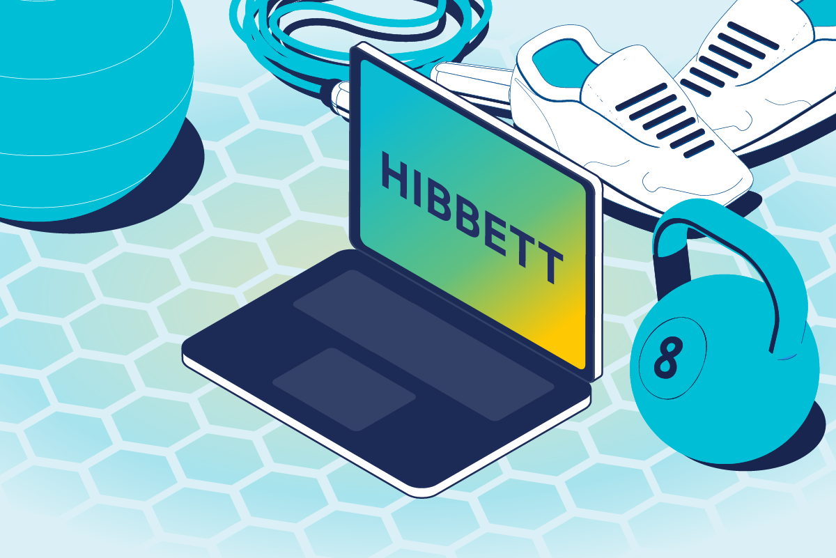 API security and application security case study – Hibbett