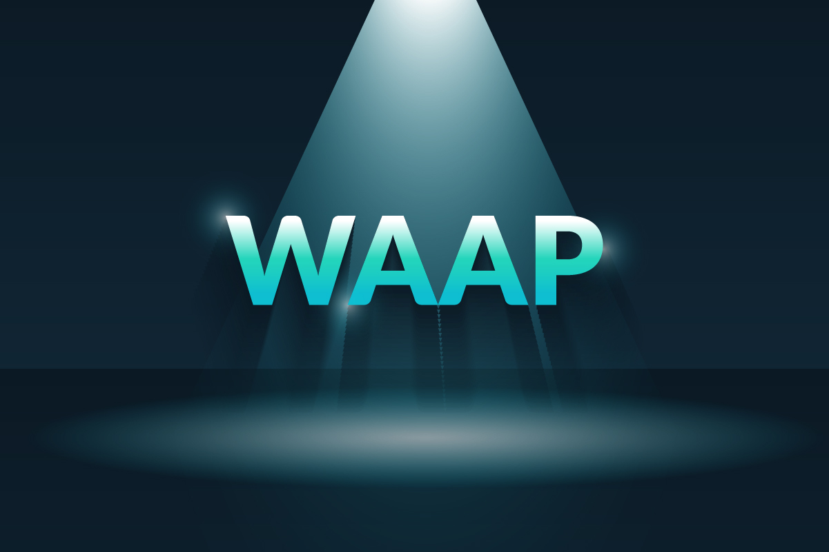 The word WAAP with a spotlight on it on a teal background.