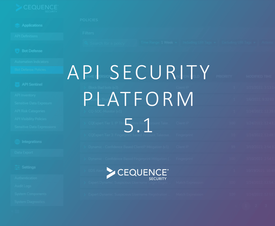 API Security Platform 5.1