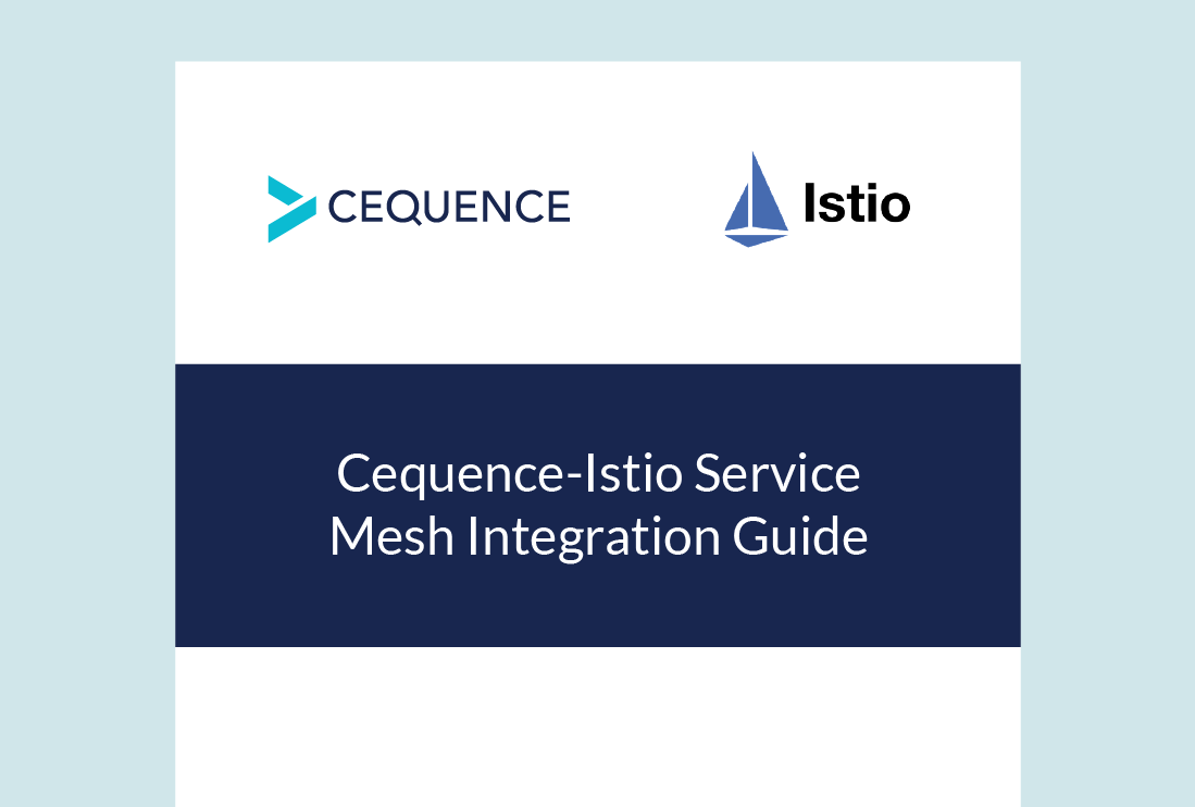 Cequence Istio Service Mesh Integration Overview