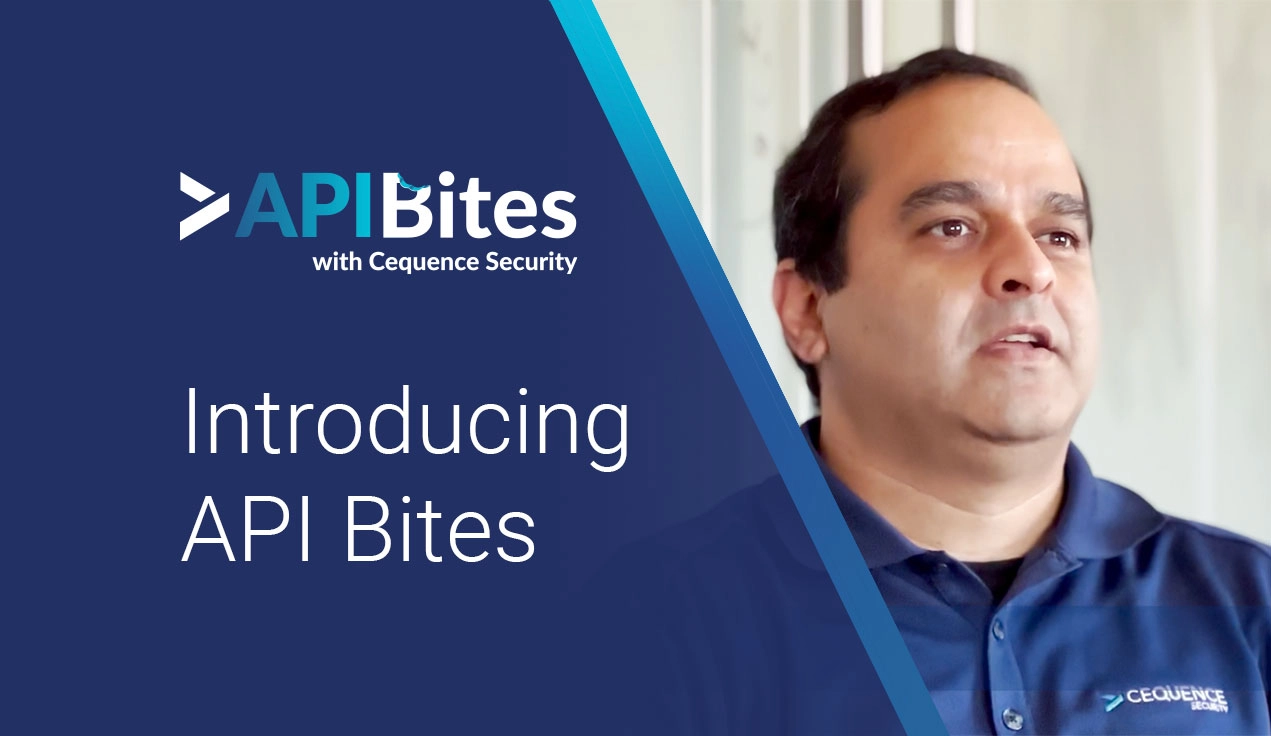 Introducing API Bites