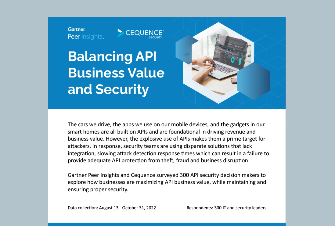 Balancing API Business Value and Security