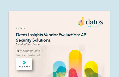 Best-in-class API Security - Datos Analyst Report