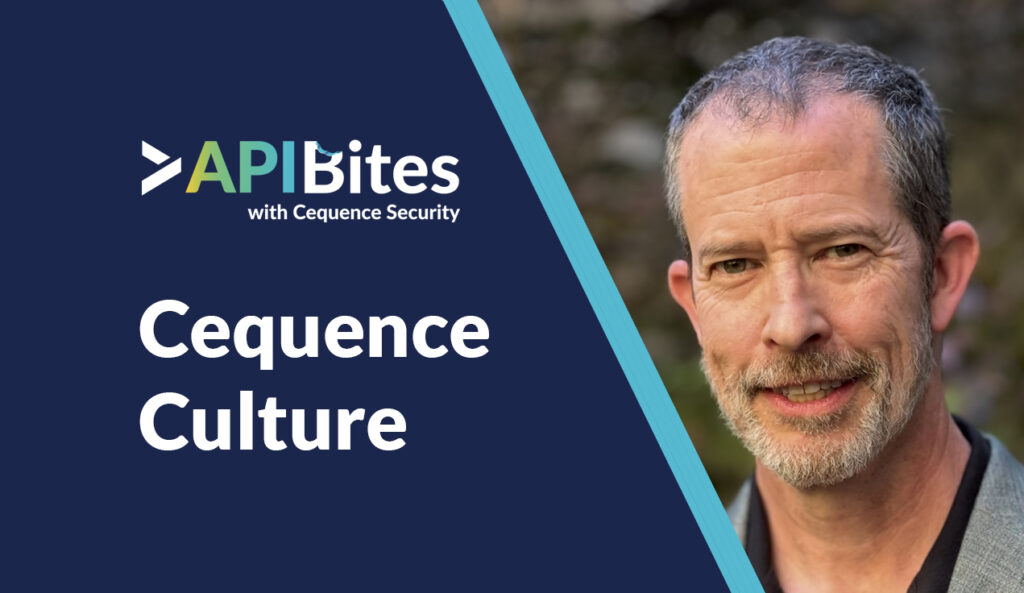 APIBites - Episode Culture