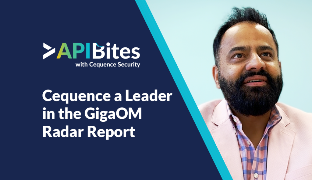 APIBites Episode GigaOM Radar Report