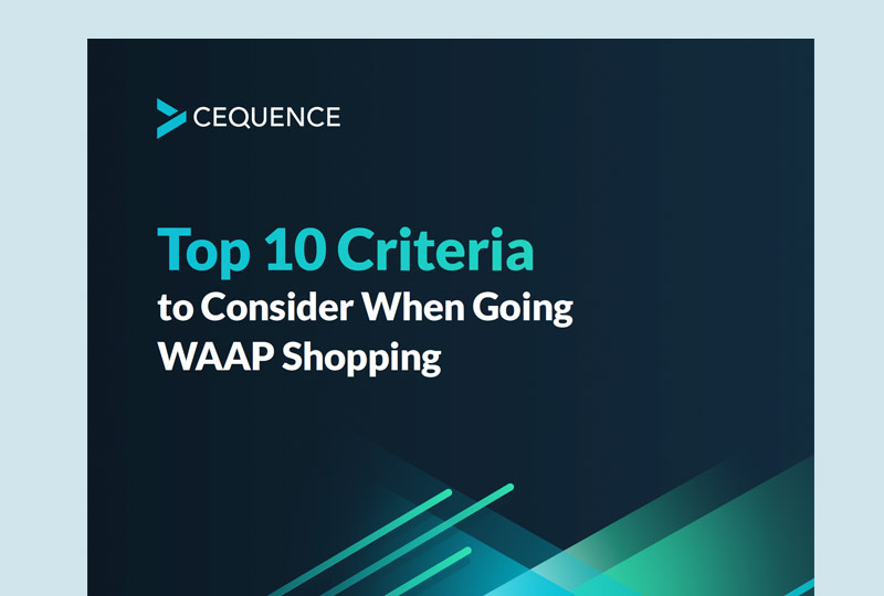 Top 10 WAAP Considerations thumbnail