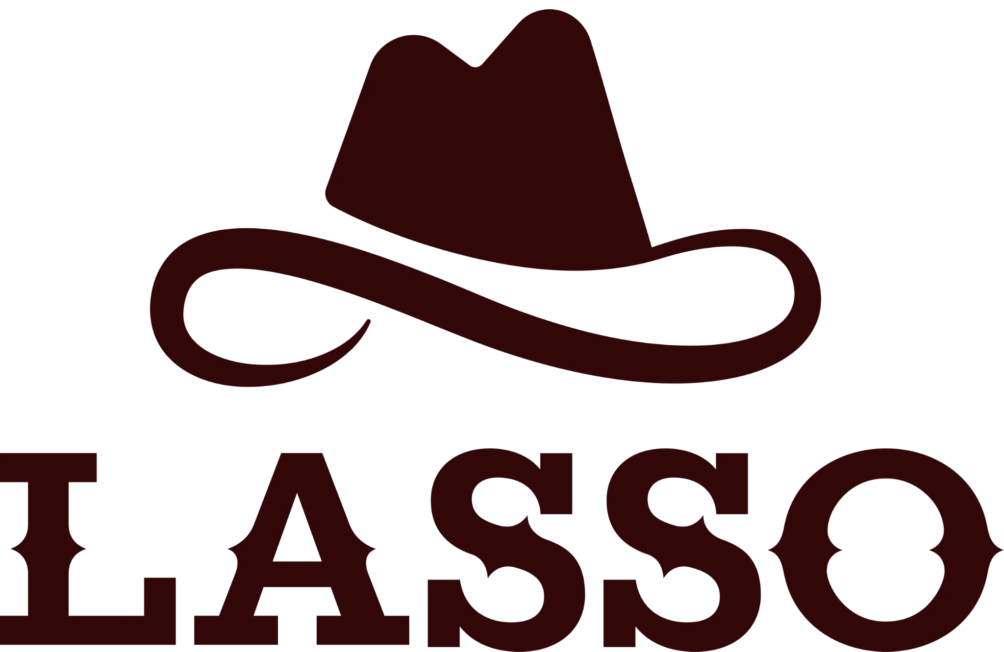 Lasso logo