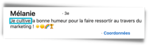 exemple titre linkedin mélanie