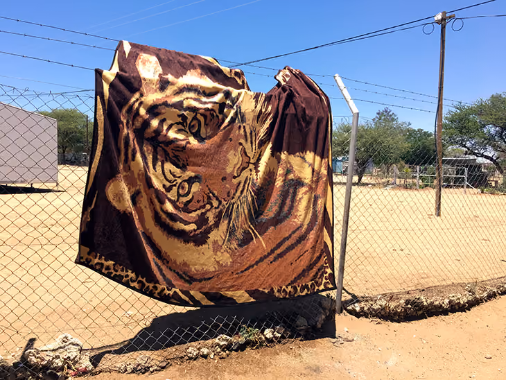 Decke mit einem Tigerbild hängt an einem Maschendrahtzaun vor sandigem Boden und Bäumen.