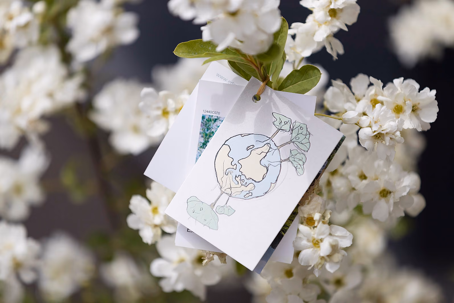 Weiße Blüten umgeben Karten mit einer Erde und Pflanzenzeichnung, die an einem Ast hängen.