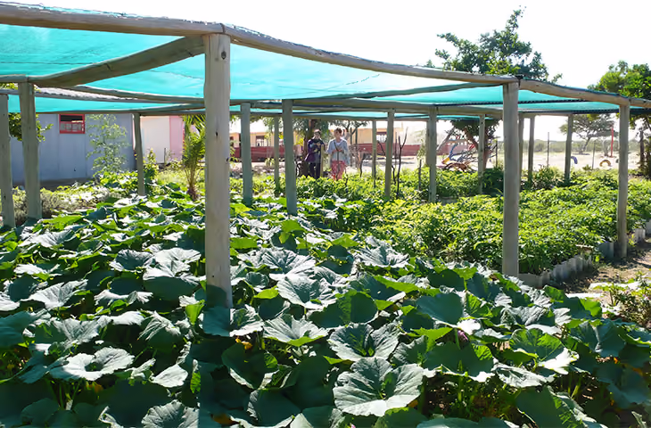 Gemüsegarten mit grünem Schattennetz und zwei Personen im Hintergrund.