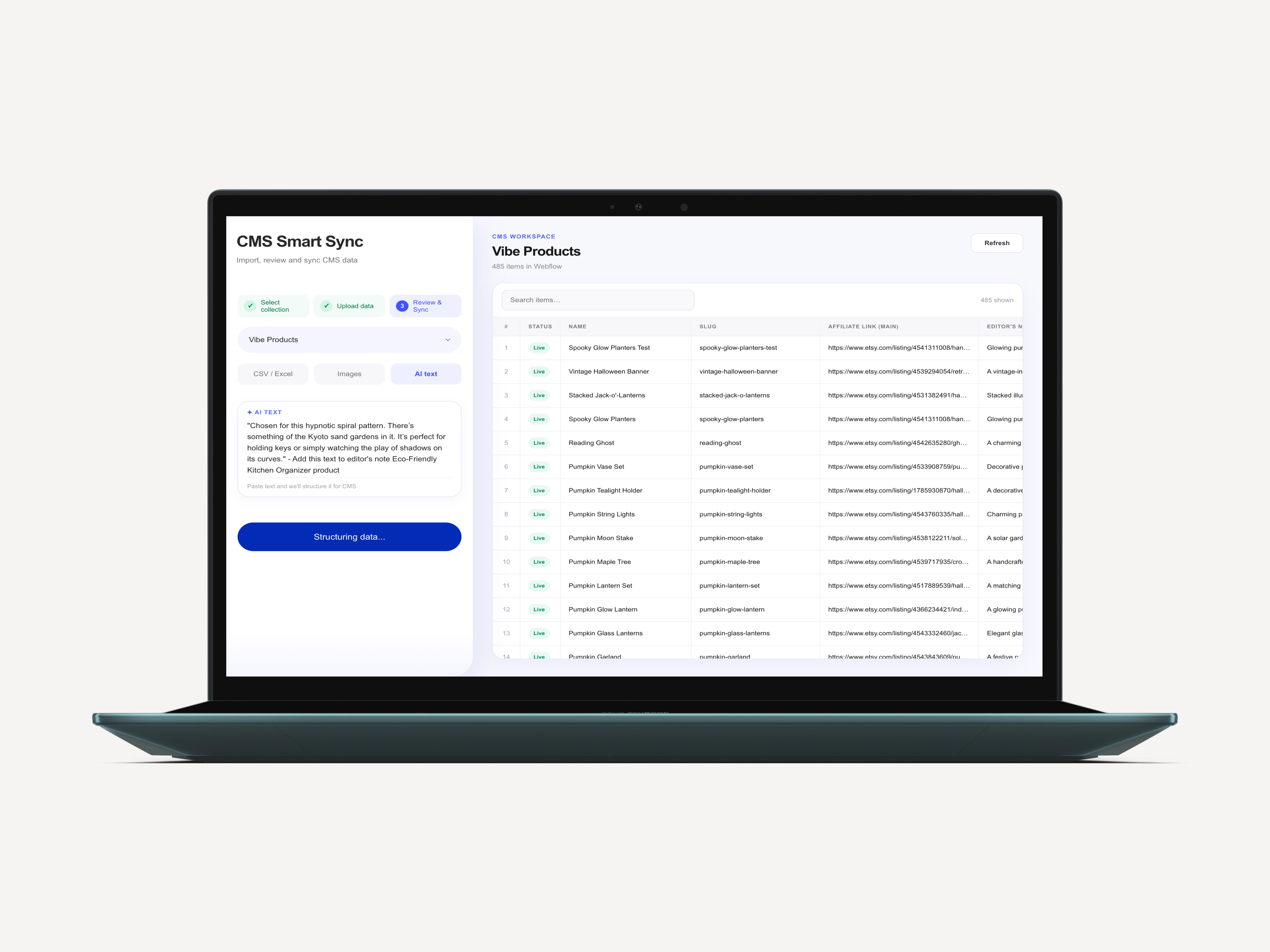 Bulk Update Webflow CMS with AI | Smart Sync CMS