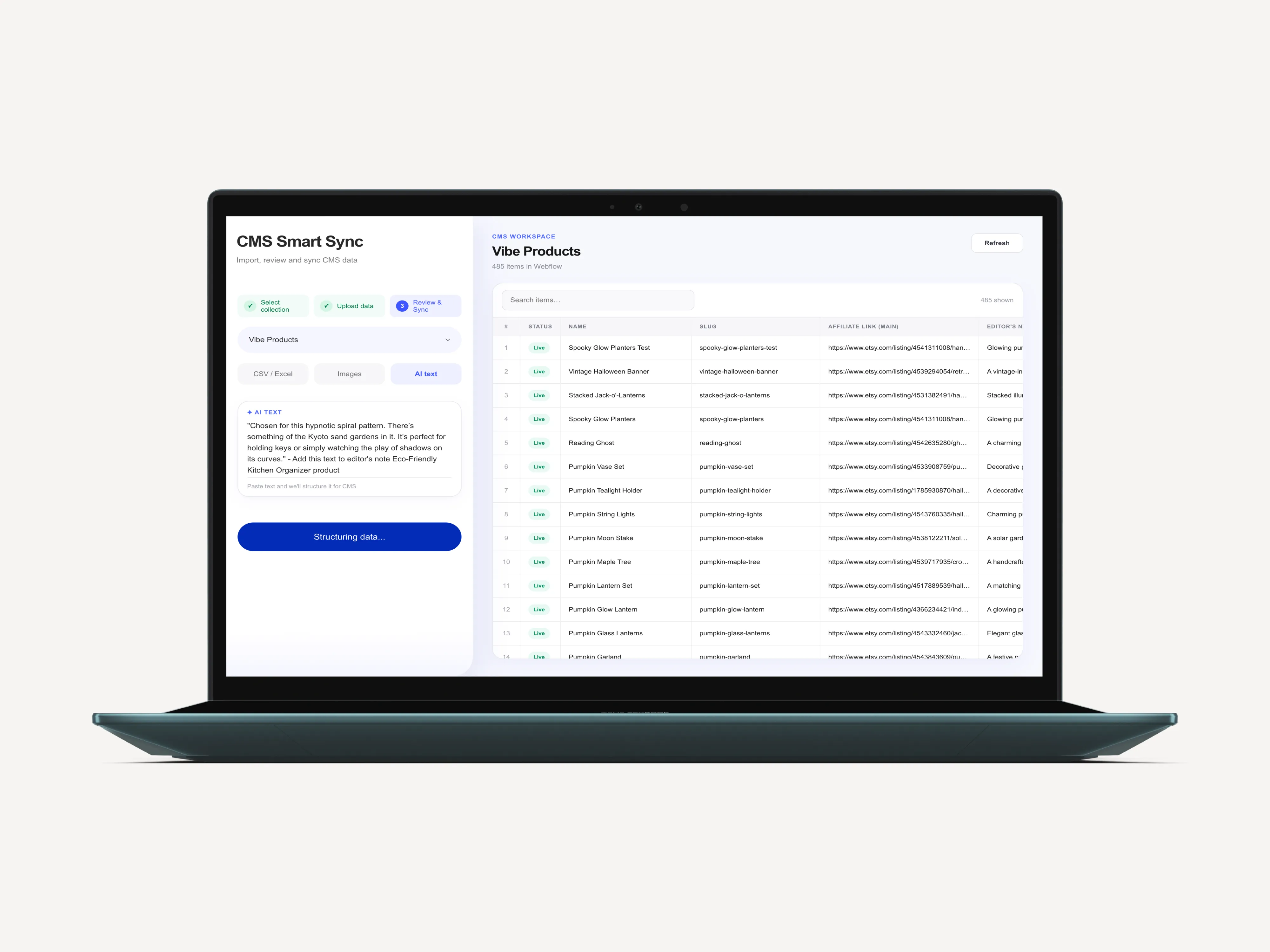 Bulk Update Webflow CMS with AI | Smart Sync CMS