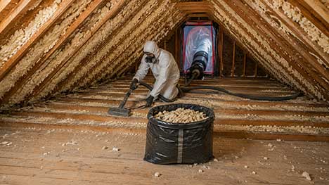 Open-cell spray foam removal from timber stud walls using professional extraction tools