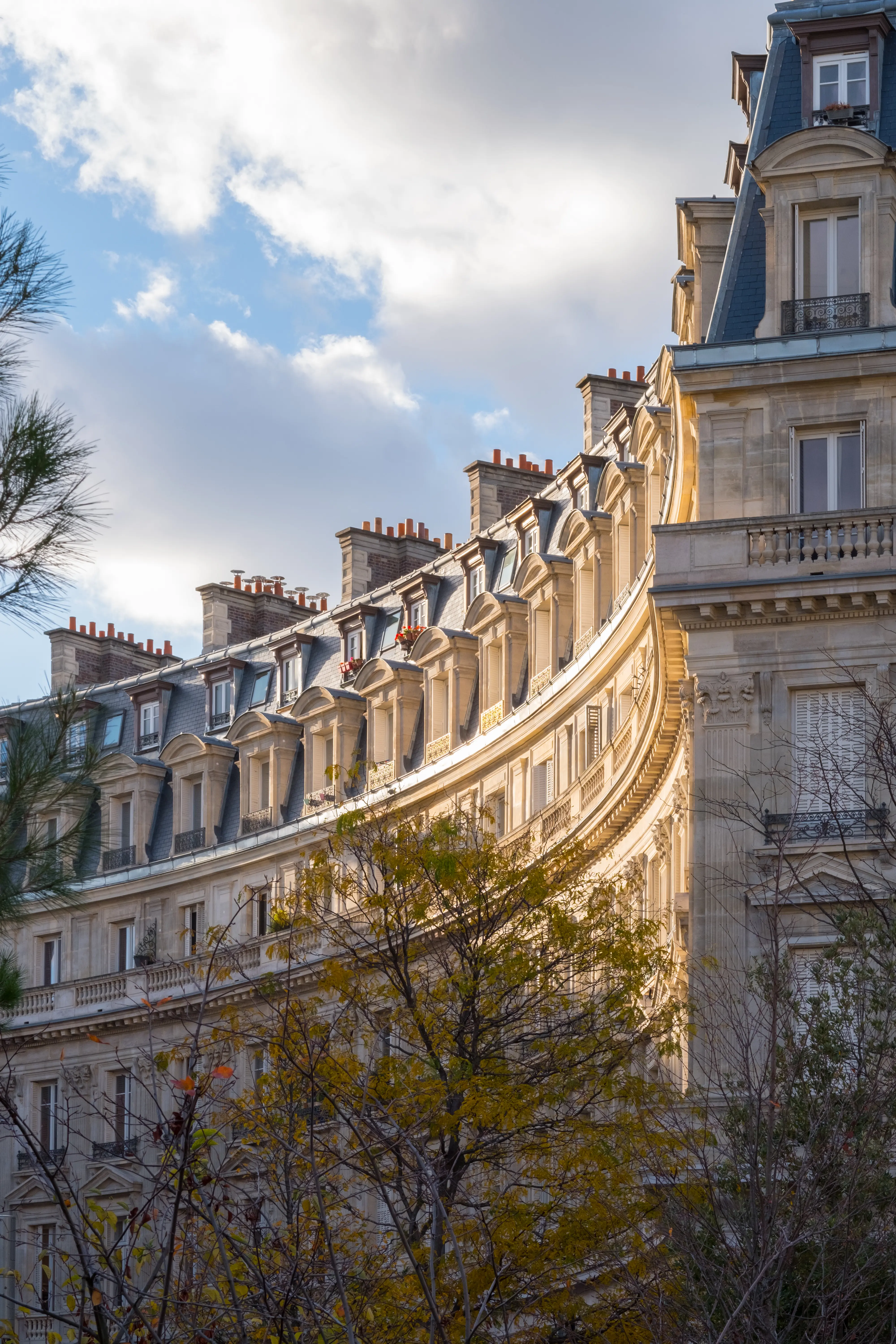 Rangée de cheminées coiffant la toiture arrondie d'un immeuble parisien, ciel nuageux traversé de branches d'arbre au premier plan