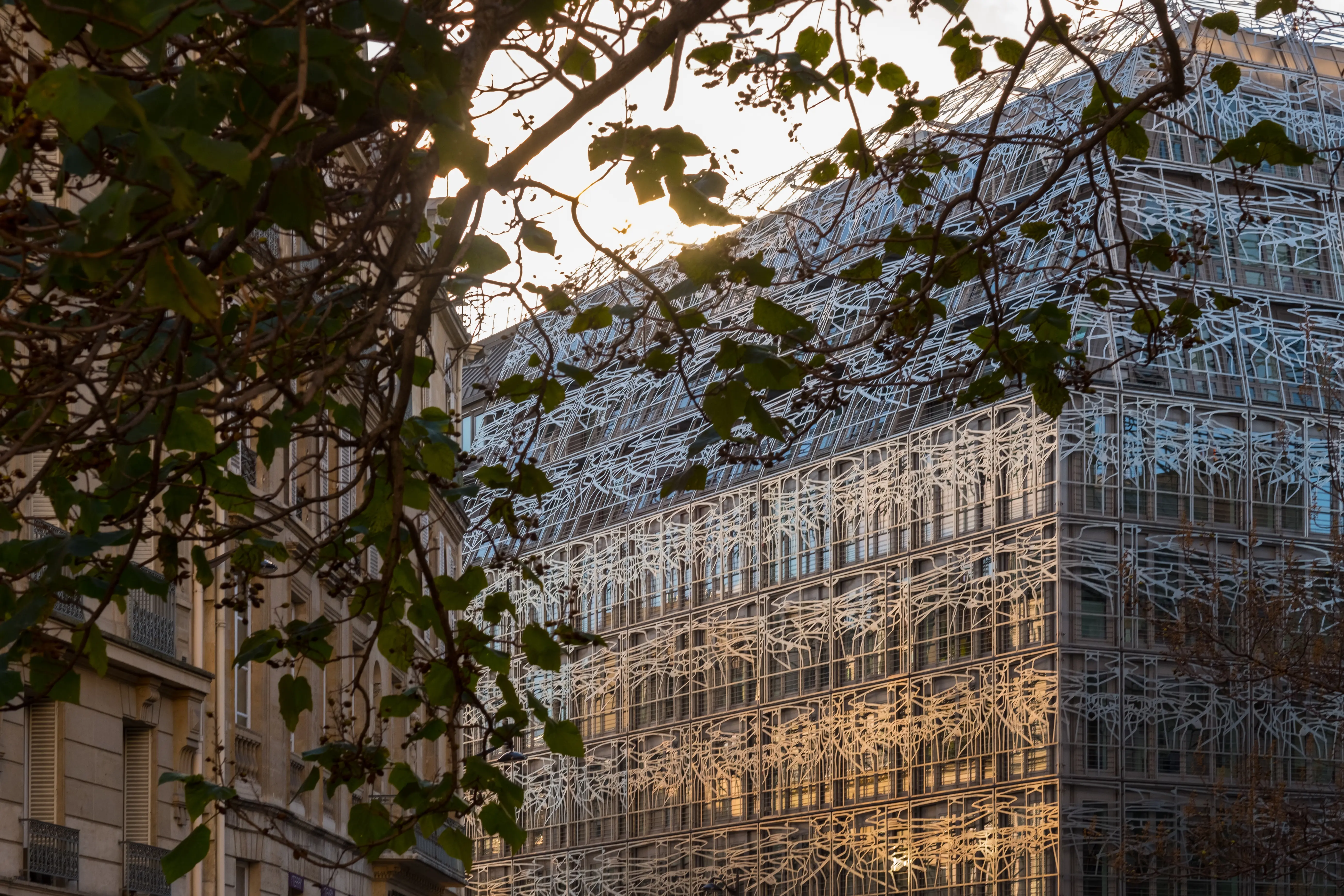 Façade contemporaine à résille métallique blanche reflétant la lumière dorée du soleil couchant, feuillage d'un arbre au premier plan