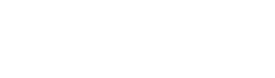 Kokoro logo