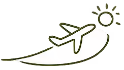 plane-icon