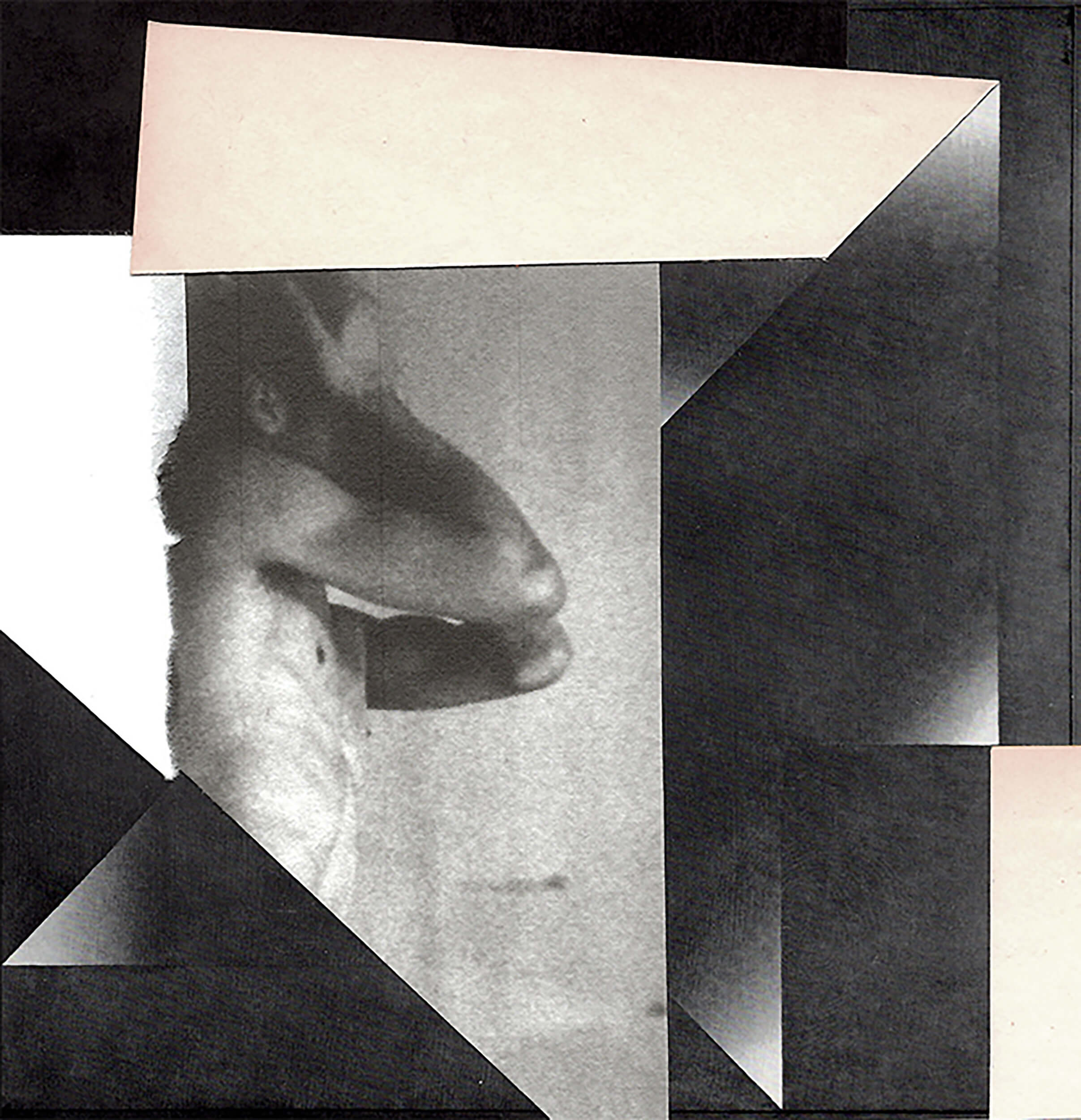 Gert Motmans