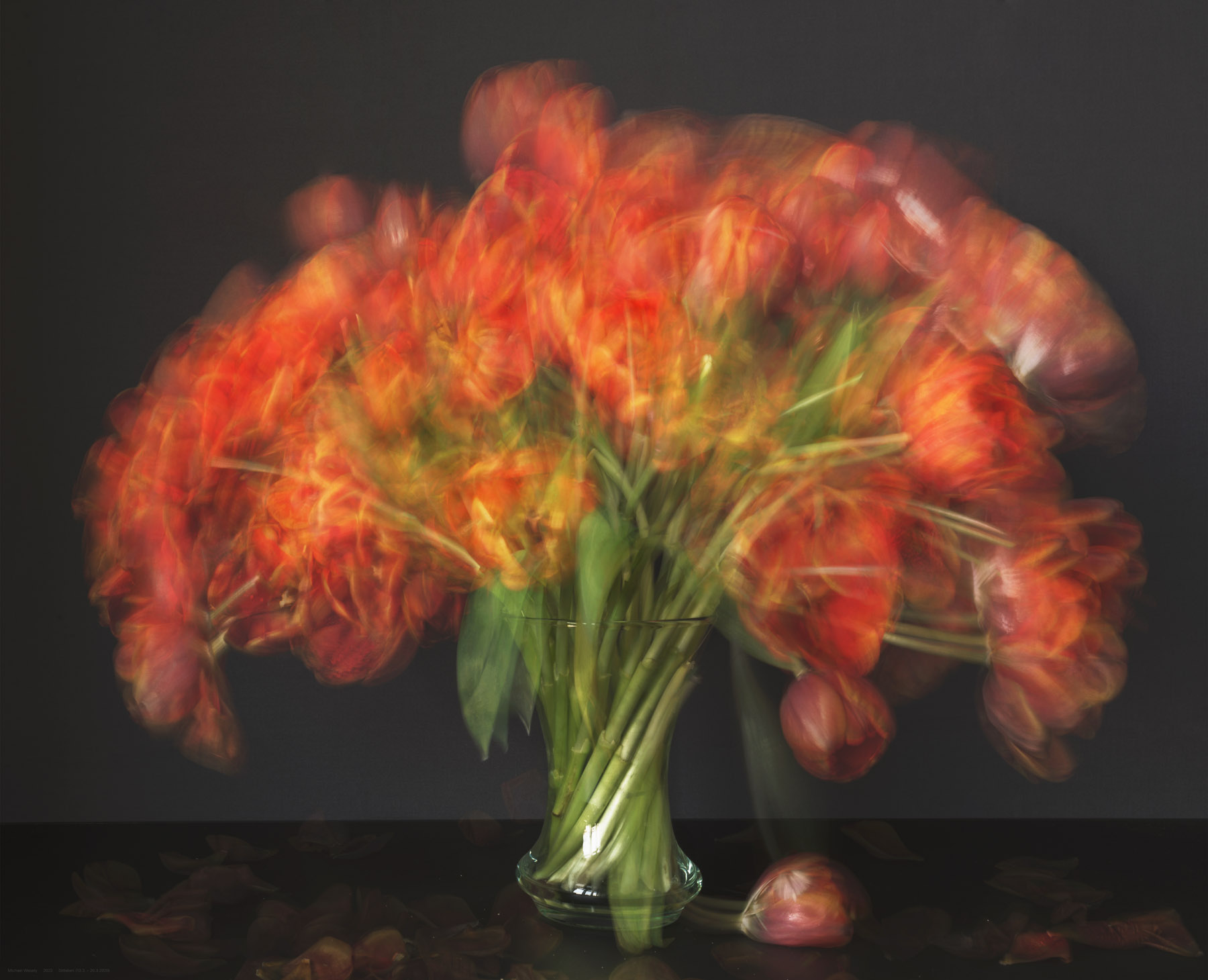 Michael Wesely