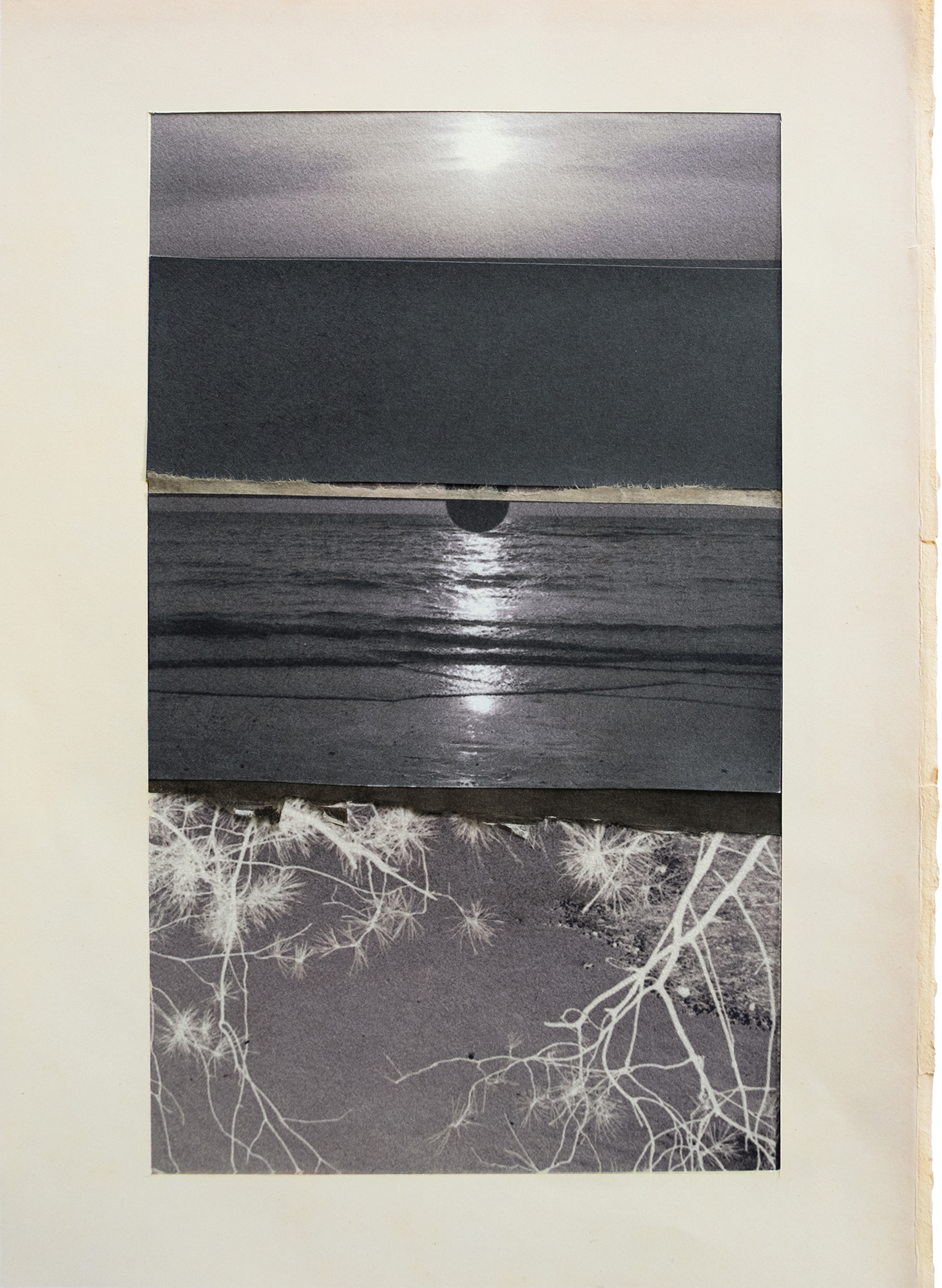 Gert Motmans