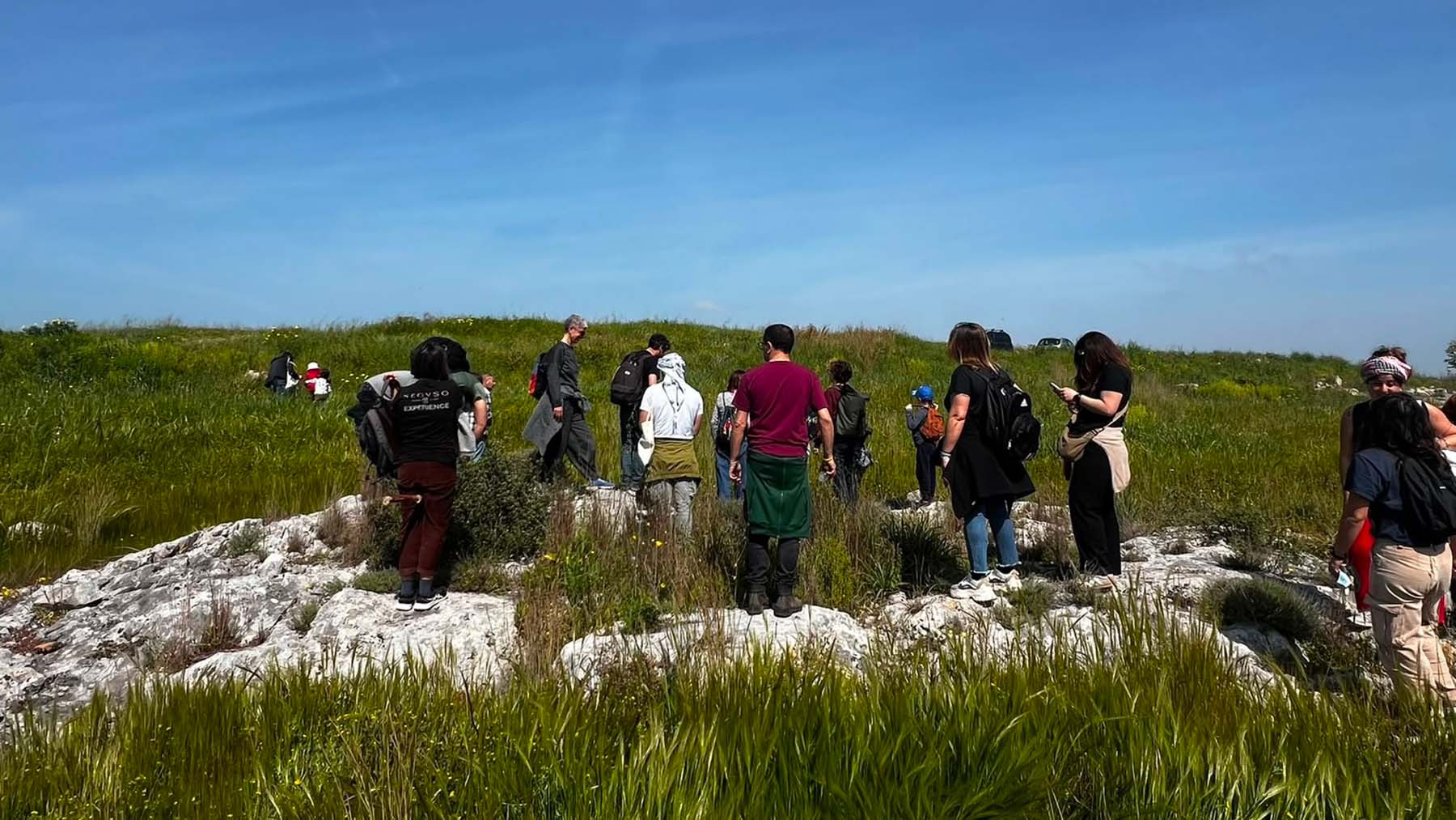 What Survives around a Plant? A Table of Living Practices
