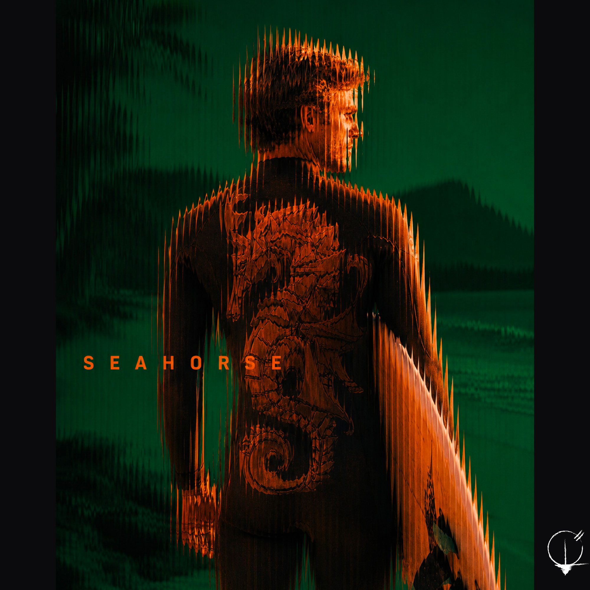 Seahorse affiche tatouage dos B