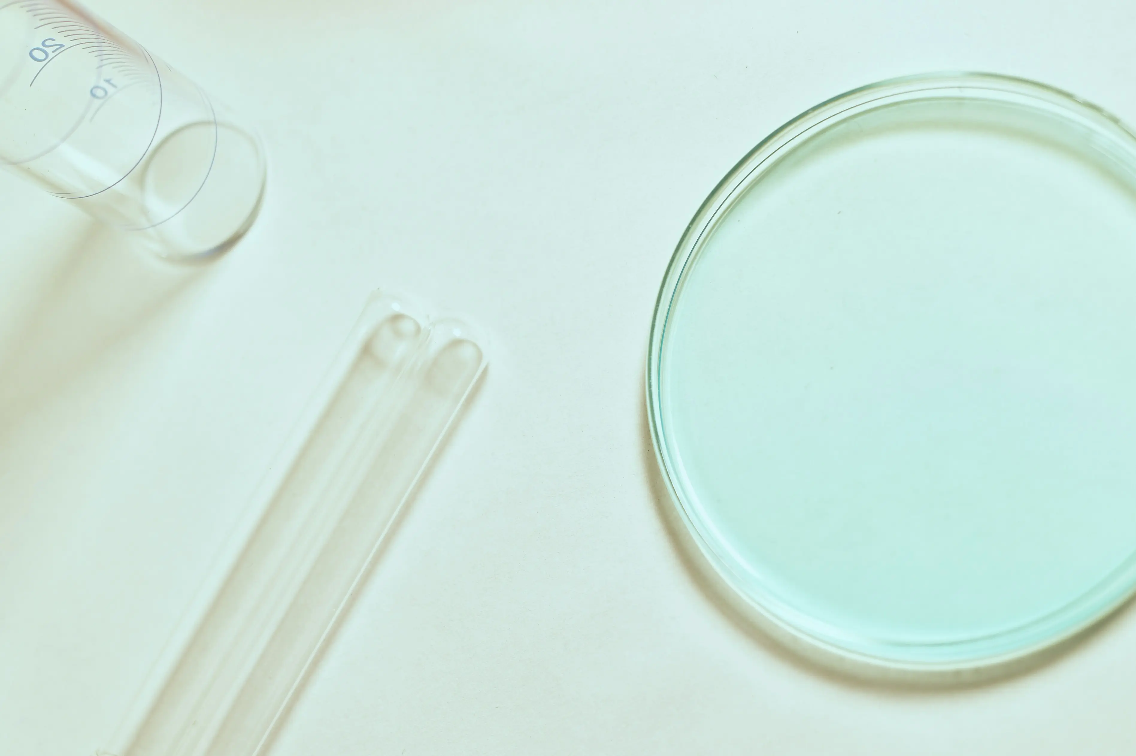 Laboratorio