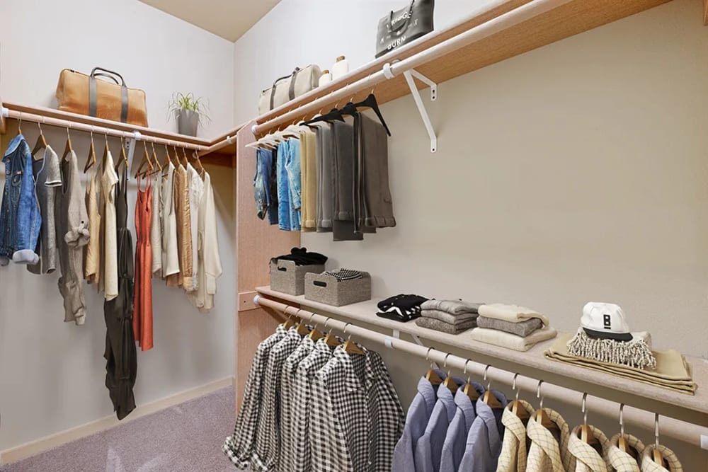 Closet with clothes hung